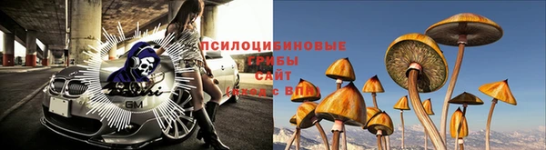 гидропоника Бугульма