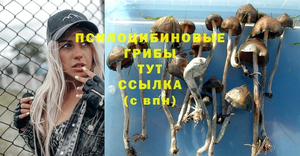 мдпв Бородино