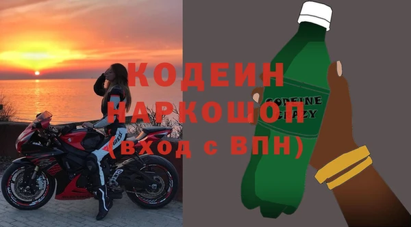 мдпв Бородино