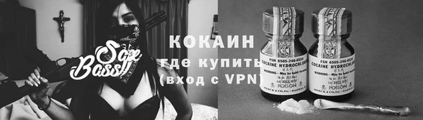 мдпв Бородино