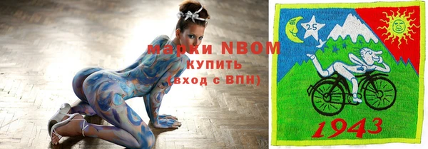 мдпв Бородино