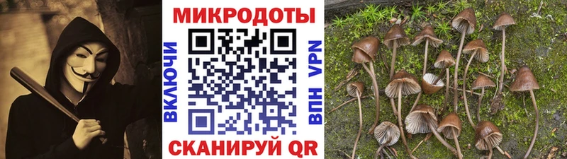 что такое   Суворов  Псилоцибиновые грибы Magic Shrooms 