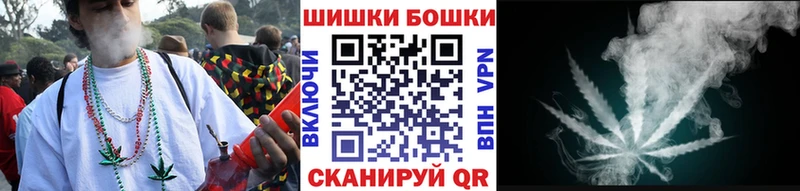 где найти наркотики  hydra ONION  Шишки марихуана планчик  Суворов 